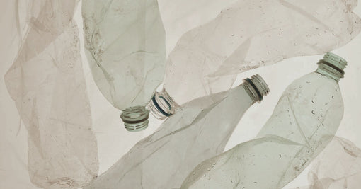 Doe mee met Ecofiltro voor plasticvrije juli